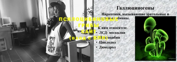 не бодяженный Алексин