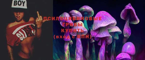 не бодяженный Алексин