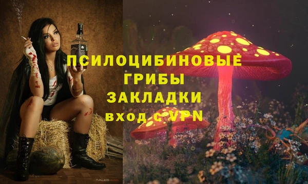 не бодяженный Алексин