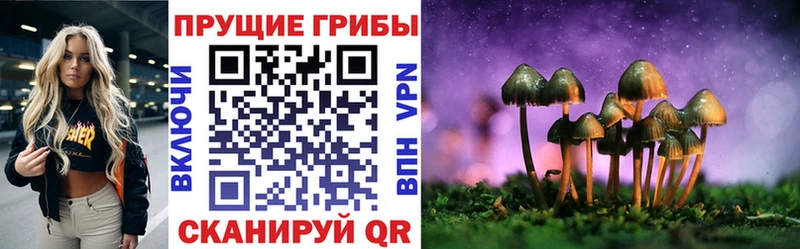 Галлюциногенные грибы прущие грибы МЕГА как войти Карасук