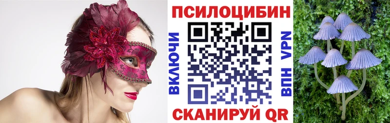 Псилоцибиновые грибы Cubensis Карасук