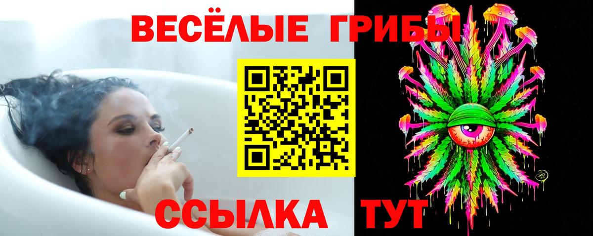 Карасук  Псилоцибиновые грибы Cubensis  Вход с VPN 